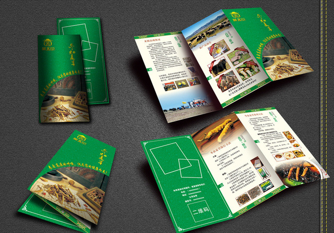 折頁(yè)產(chǎn)品說明書宣傳單可做多折黑白彩色來(lái)圖定制印刷